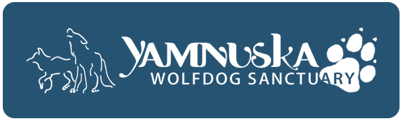 Yamnuska Wolfdog Sanctuary